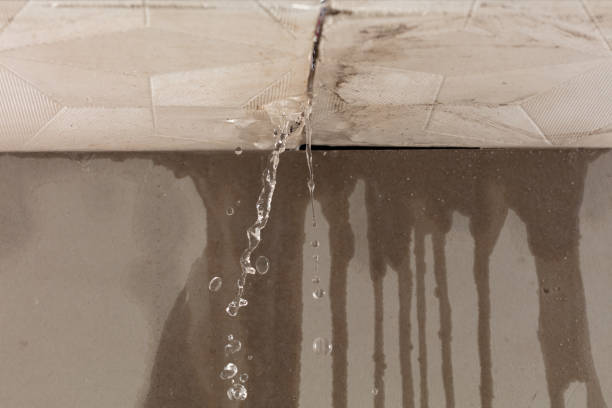 Professional Water Damage Repair technician working in Salvisa, KY